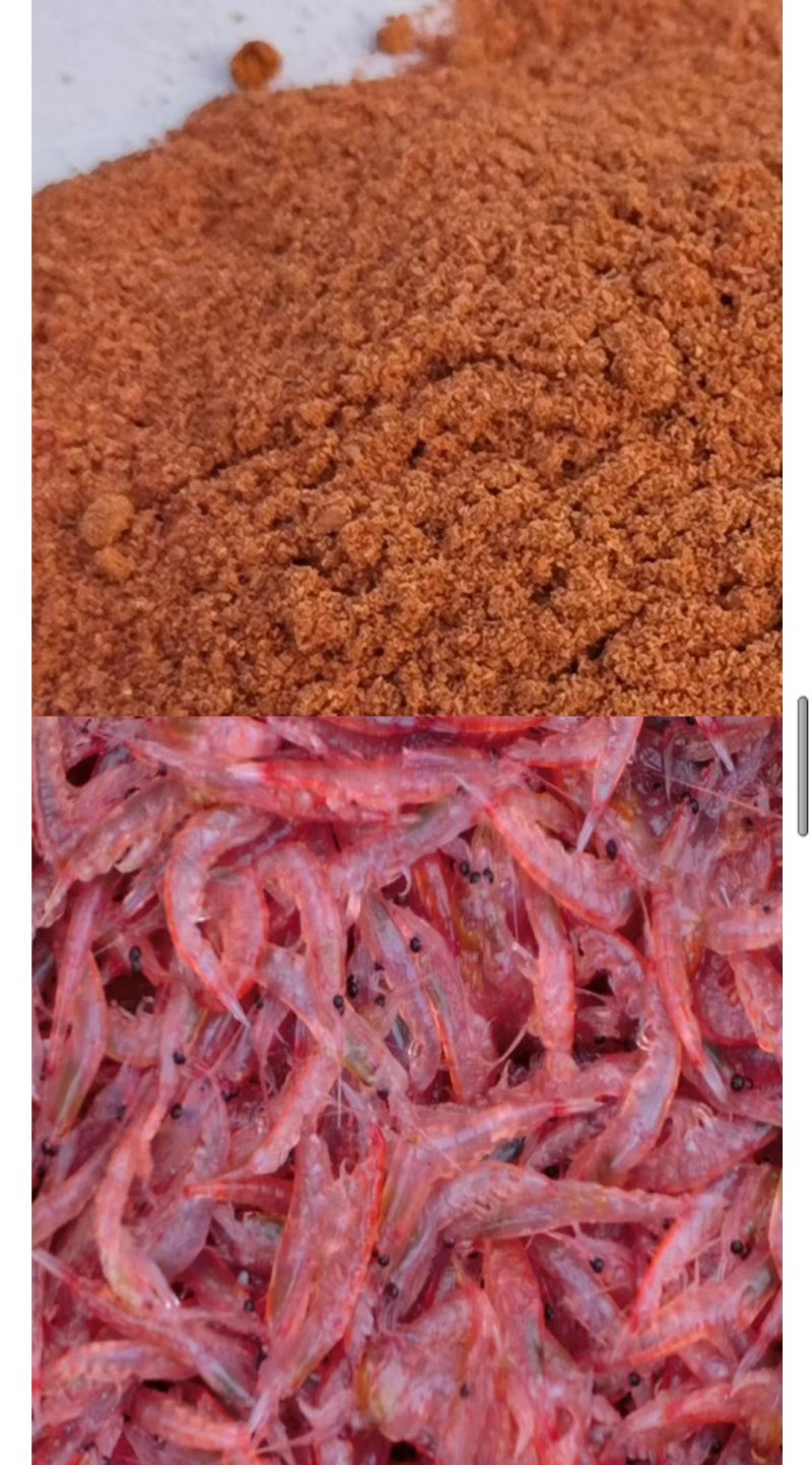 优质磷虾粉气味好用于高档生产饲料可用海森鲍鱼投放喂食饵料