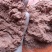 优质磷虾粉气味好用于高档生产饲料可用海森鲍鱼投放喂食饵料