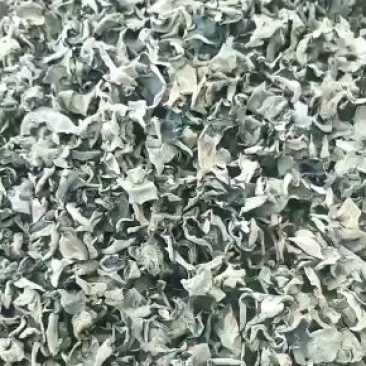 东北肉厚无根黑木耳（50斤一件）