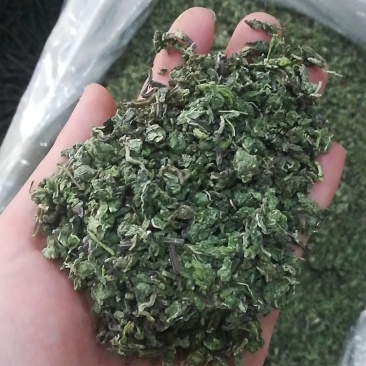 薄荷颗粒茶薄荷叶大货一手货源大货批发
