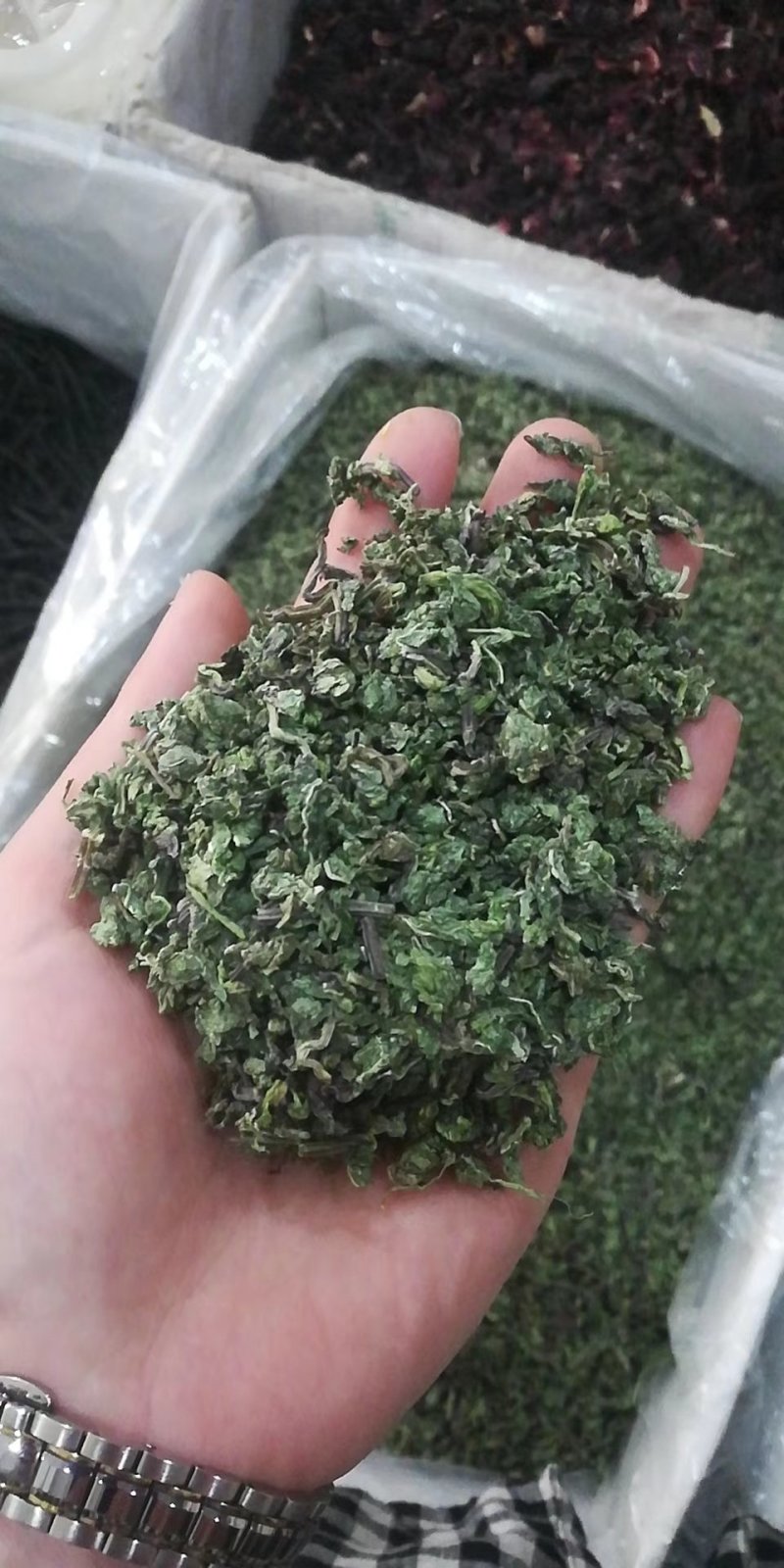 薄荷颗粒茶薄荷叶大货一手货源大货批发