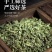 薄荷颗粒茶薄荷叶大货一手货源大货批发