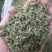 薄荷颗粒茶薄荷叶大货一手货源大货批发