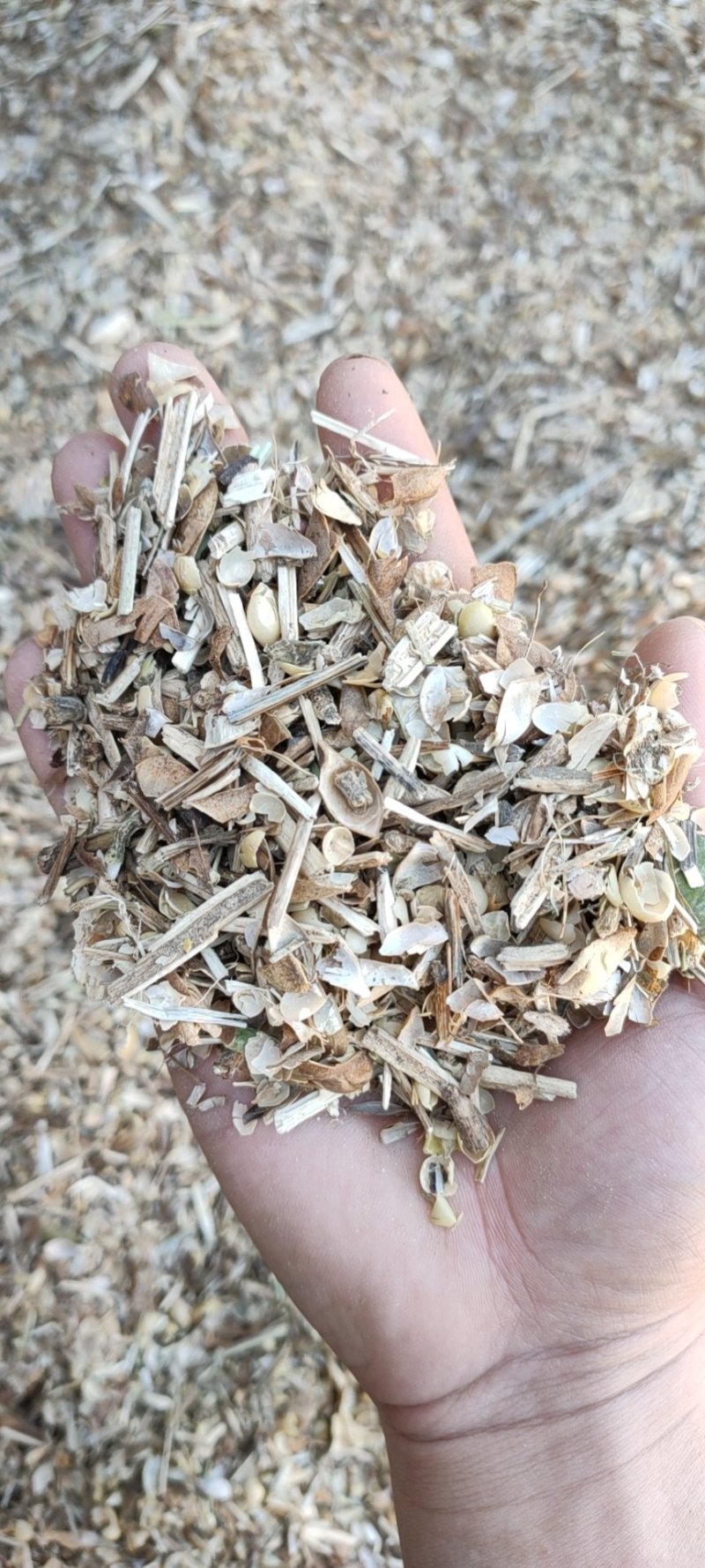 豌豆荚豌豆皮质量可靠价格低廉质量保证