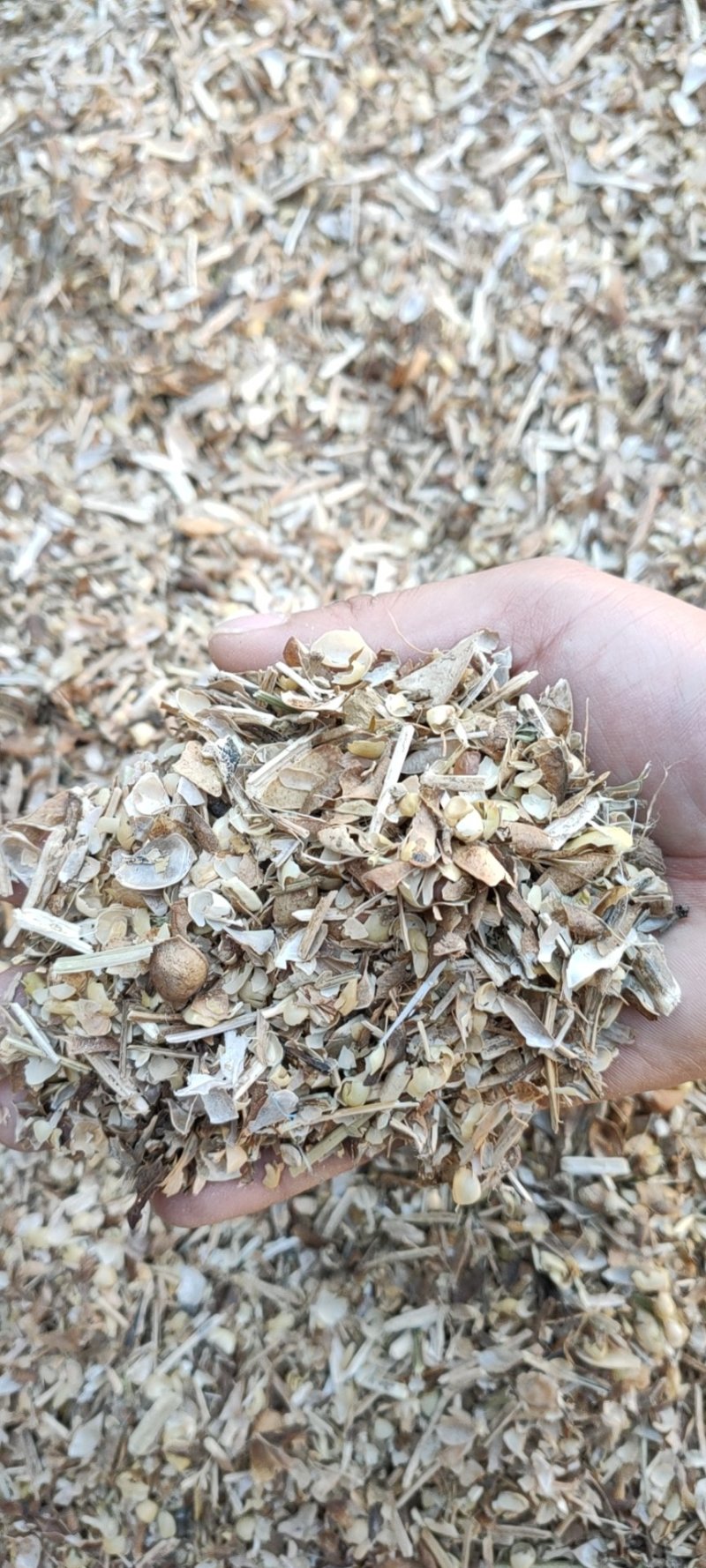 豌豆荚豌豆皮质量可靠价格低廉质量保证