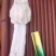 全国包邮云南精品食用菌干货福建长裙竹荪