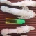 全国包邮云南精品食用菌野生菌贵州红托竹荪
