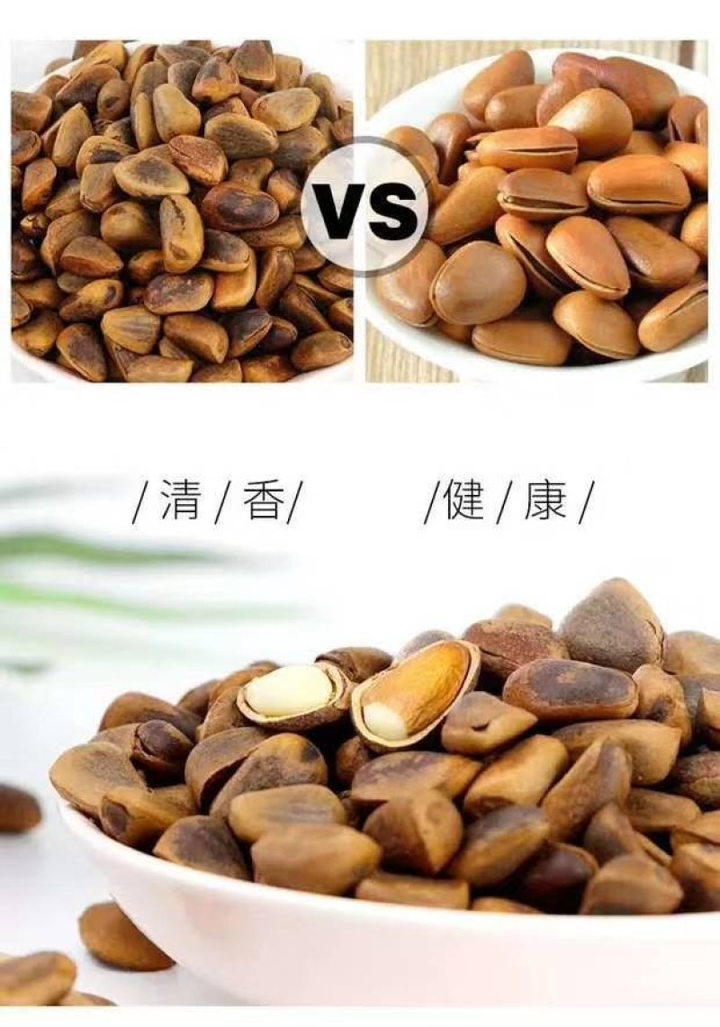 东北特产红松子一一大籽生籽质量好