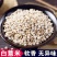 薏米仁薏米大货批发一手货源价格优惠