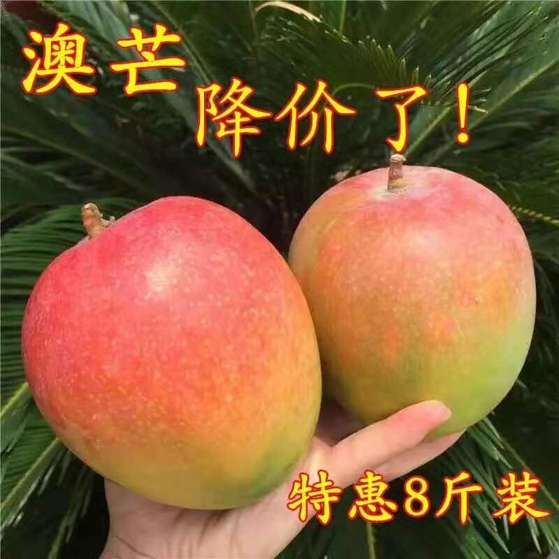 【支持一件代发】澳芒芒果中的爱马仕，精品水果