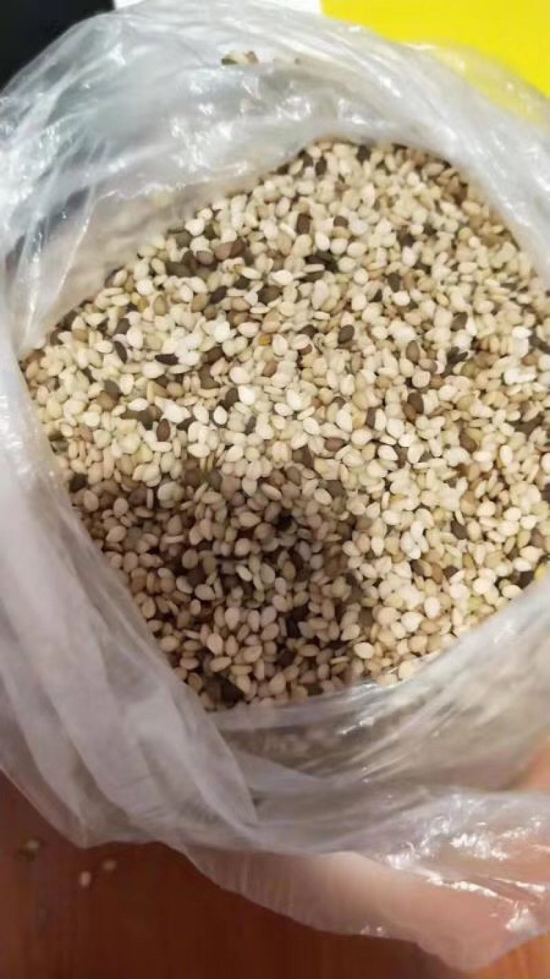 坦桑白芝麻，一级货，一手货源，批发全国