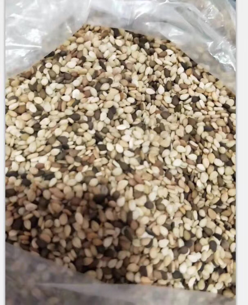 坦桑白芝麻，一级货，一手货源，批发全国