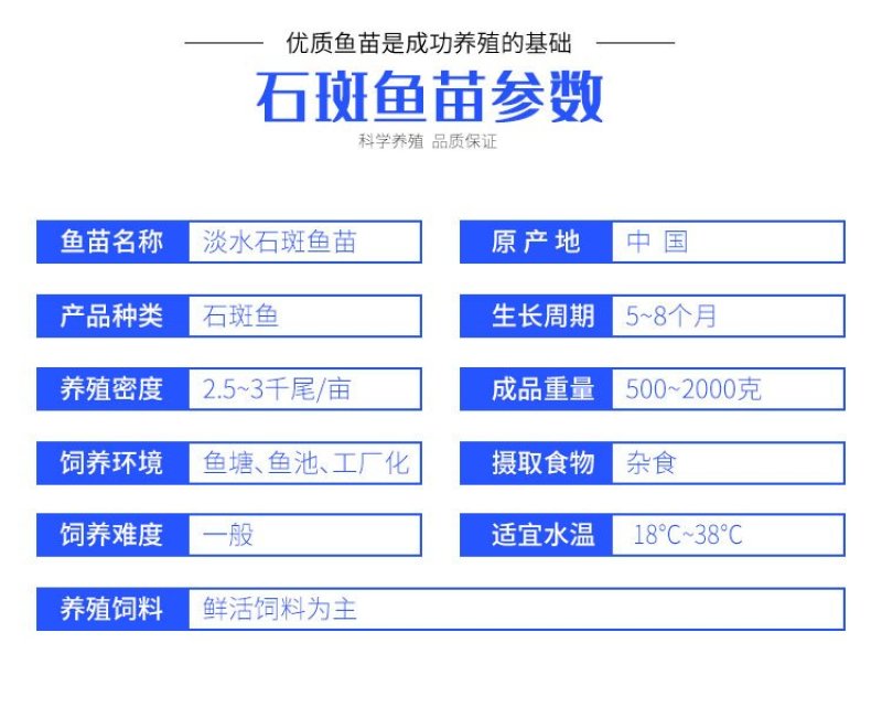 养殖基地供应优质淡水石斑鱼苗成活率高病害少