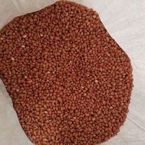 苏丹小白沙，花生米精米，一手货源，海外直采