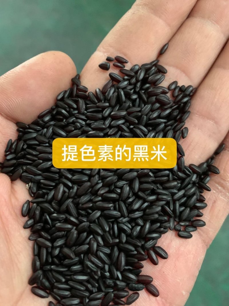 河北黑米，常年有货，对接批发量大从优，可发全国欢迎联系