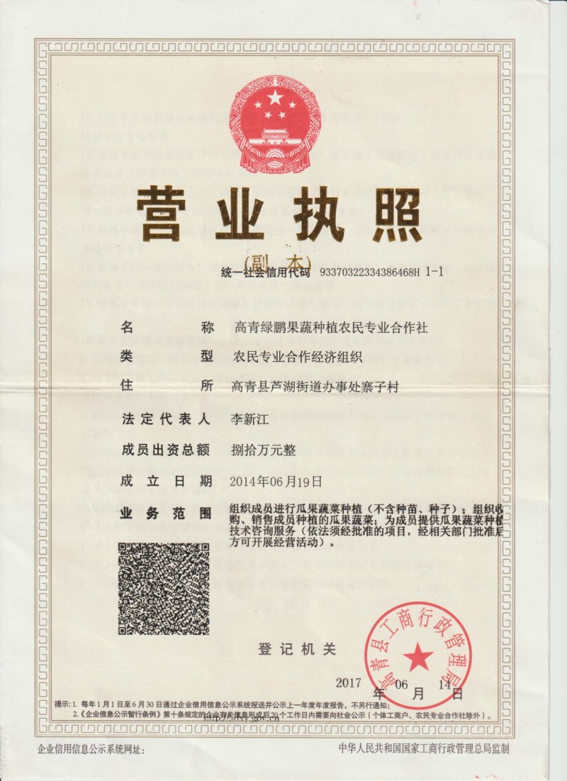 草莓西红柿，熊蜂授粉无激素，绿肩浓，糖度高，口感好。