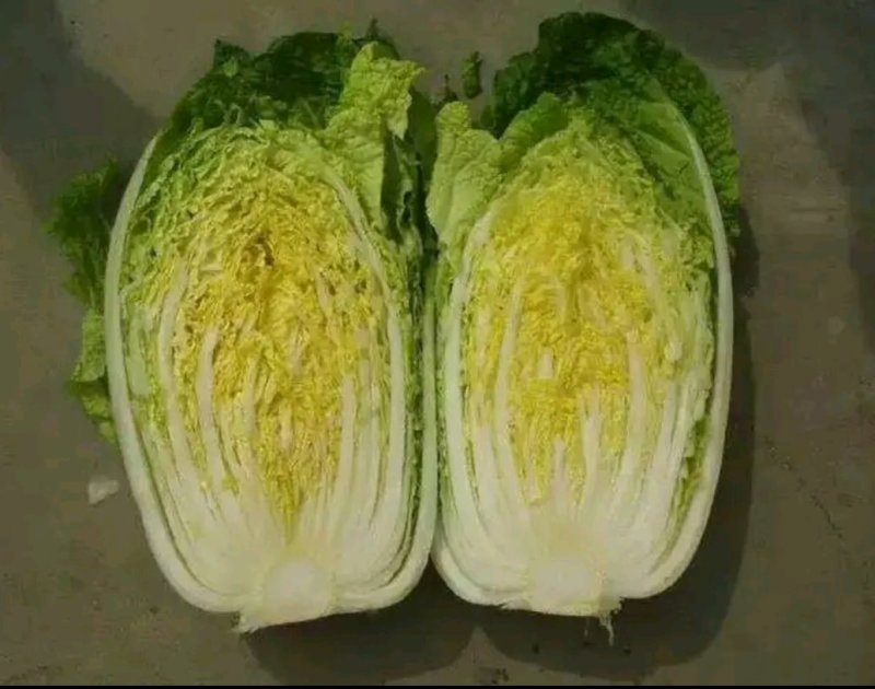 大白菜