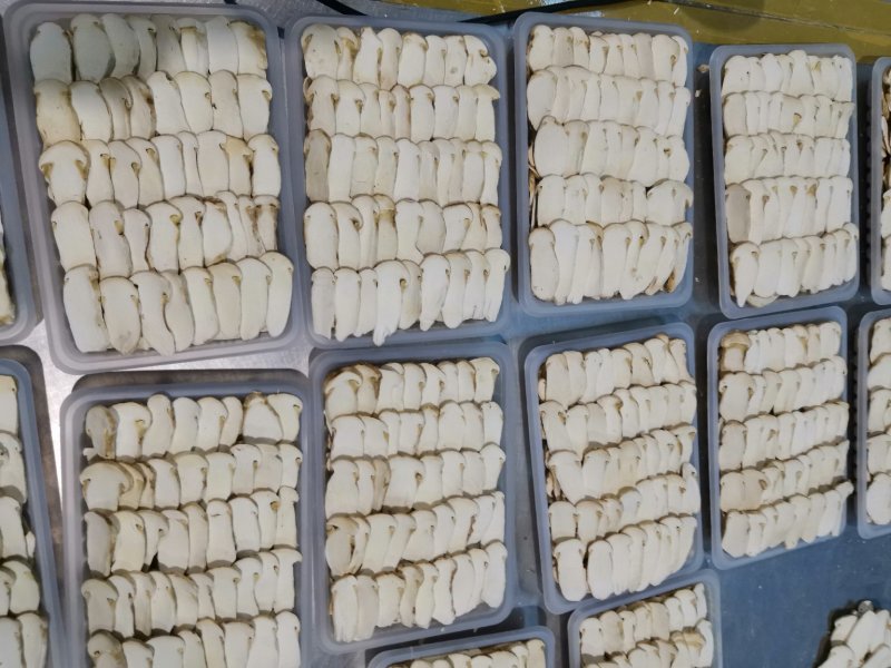 精品冻干各种规格松茸10包邮