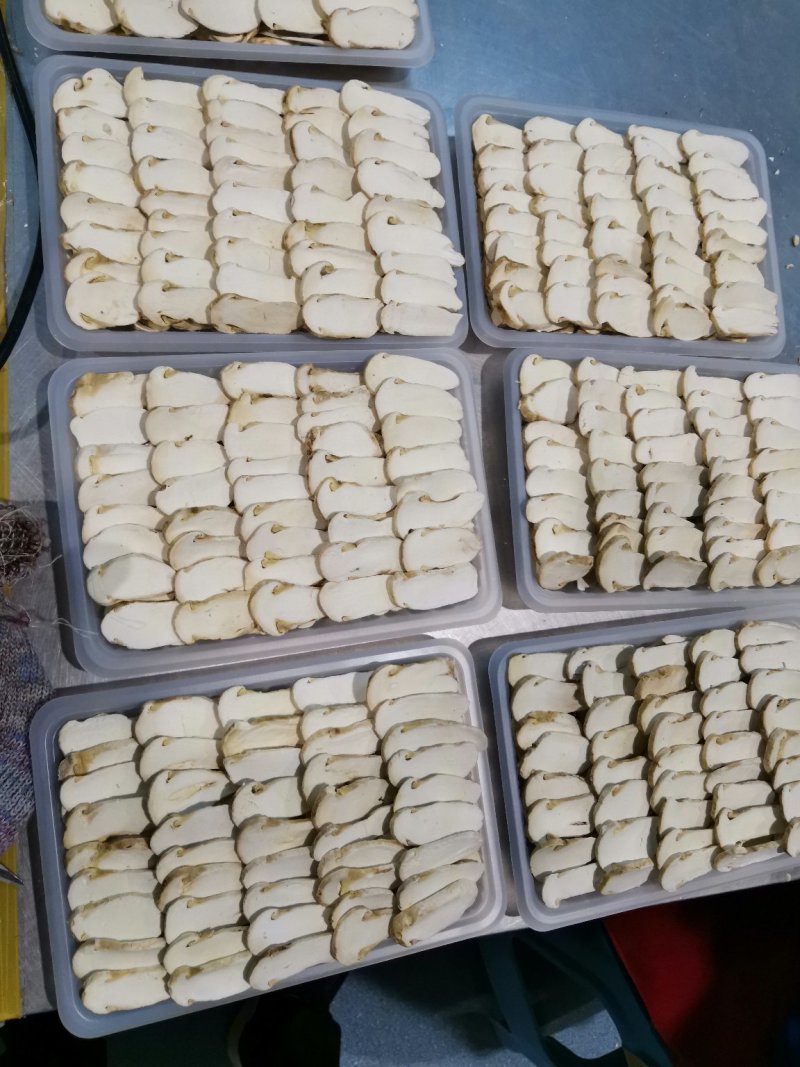 精品冻干各种规格松茸10包邮