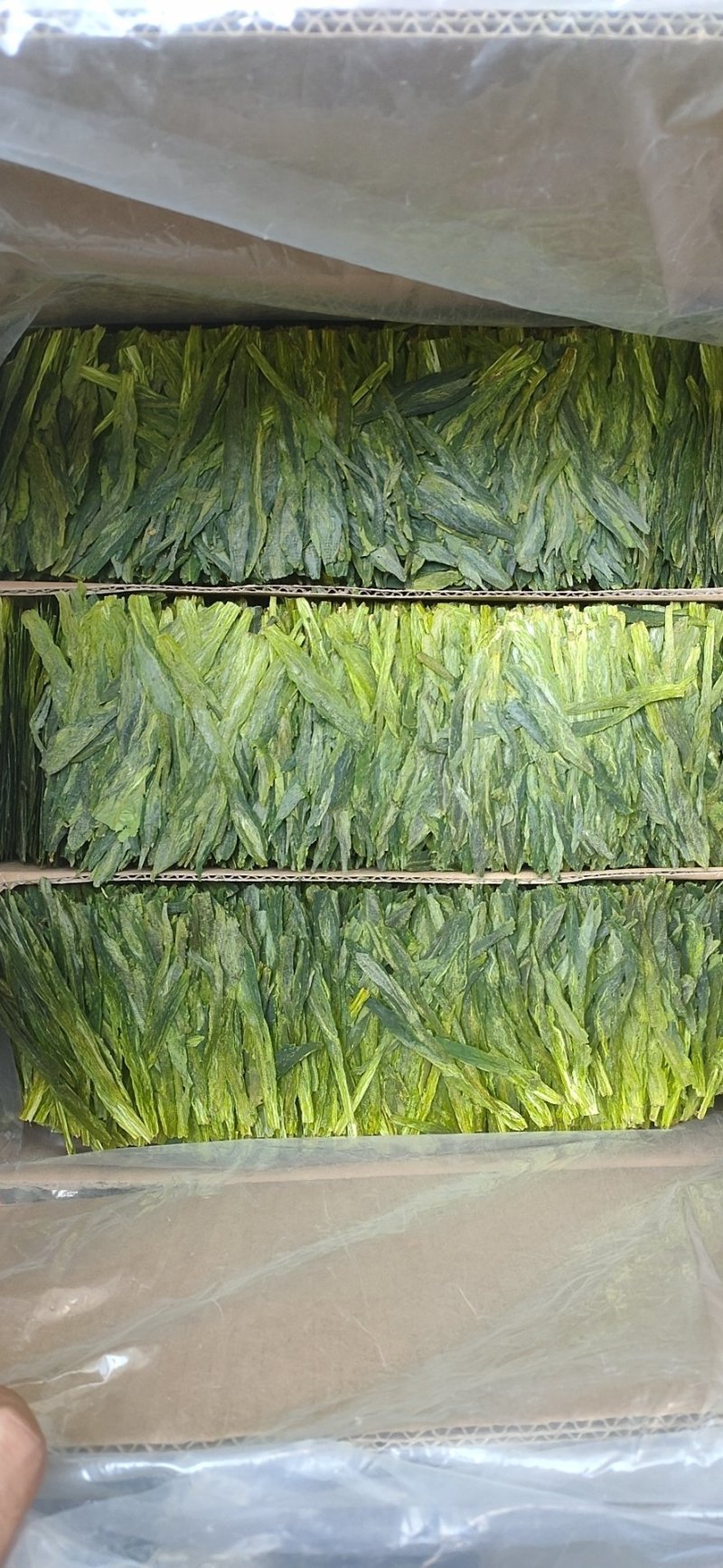 【绿茶】太平猴魁绿茶大叶茶厂家直销无中间商欢迎选购