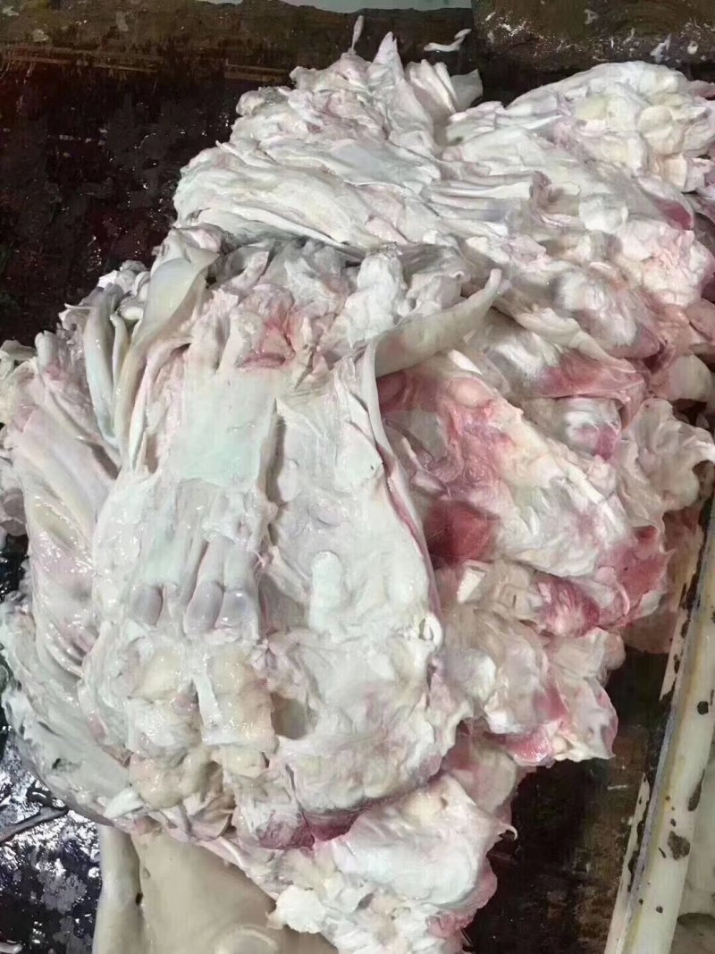 全去骨生牛蹄，质量保证