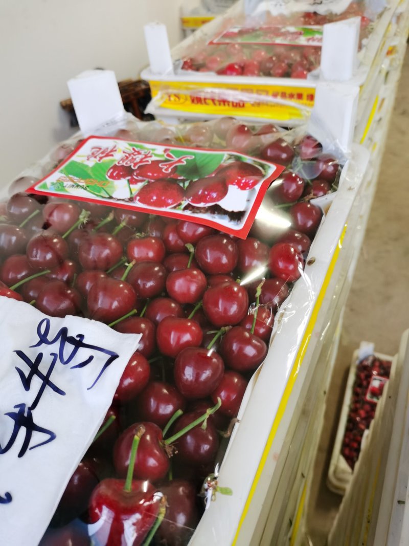 樱桃一件代发保证质量营销