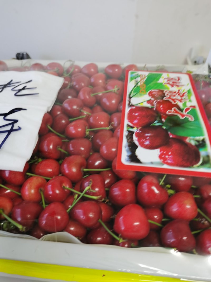 樱桃一件代发保证质量营销