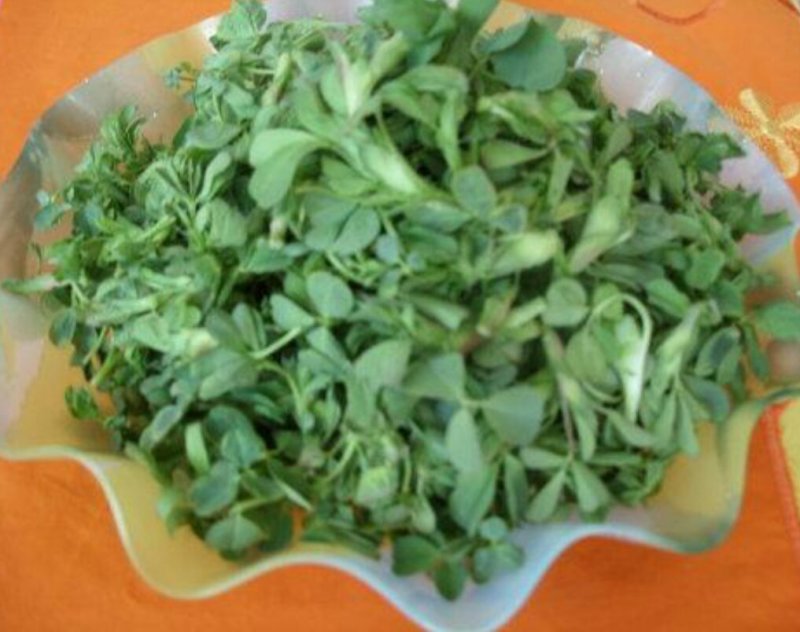 基地直供食用香苜蓿，全干无杂质，