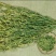 基地直供食用香苜蓿，全干无杂质，