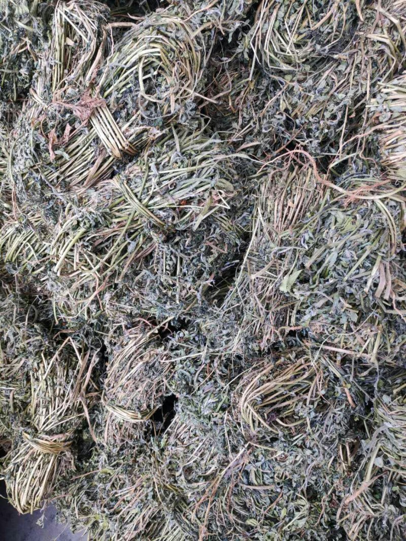 基地直供食用香苜蓿，全干无杂质，