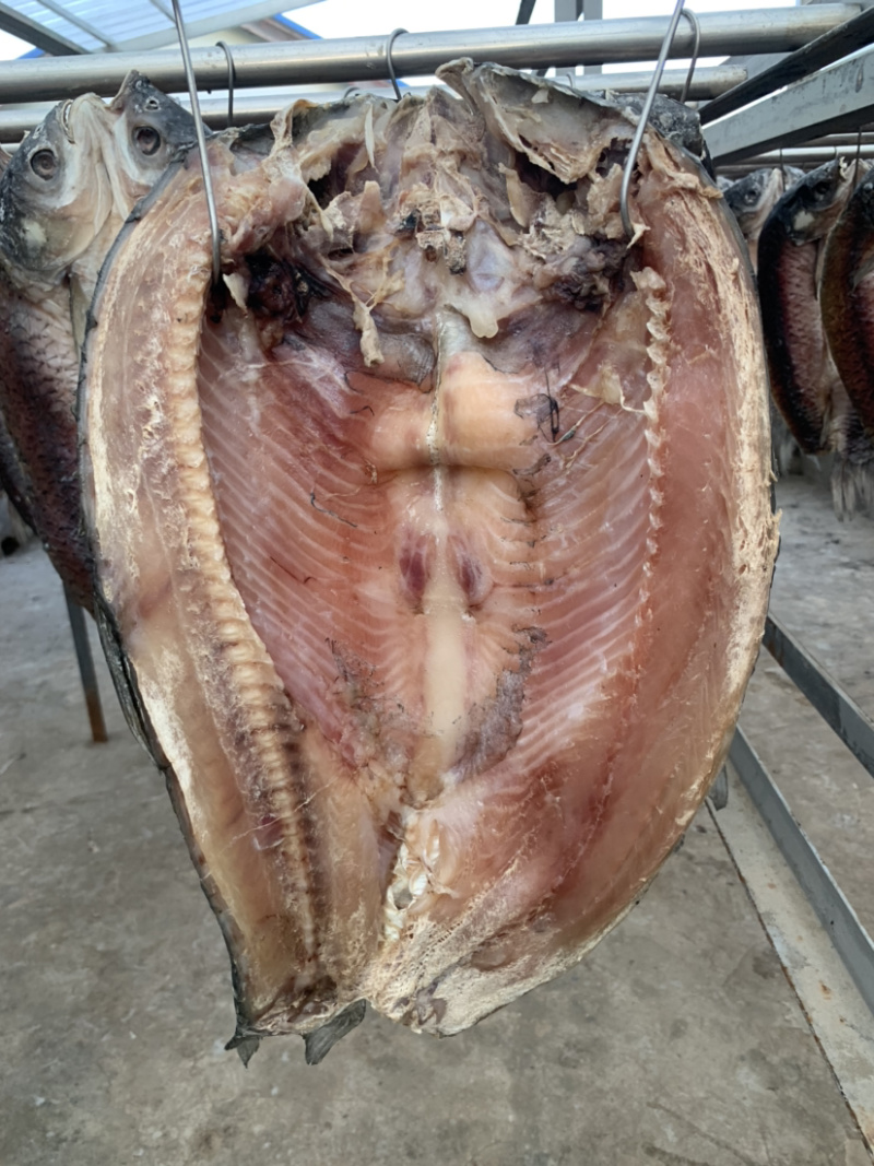 鱼干风干大草鱼带头草鱼草鱼干腊鱼非烟熏一手货源基地直发