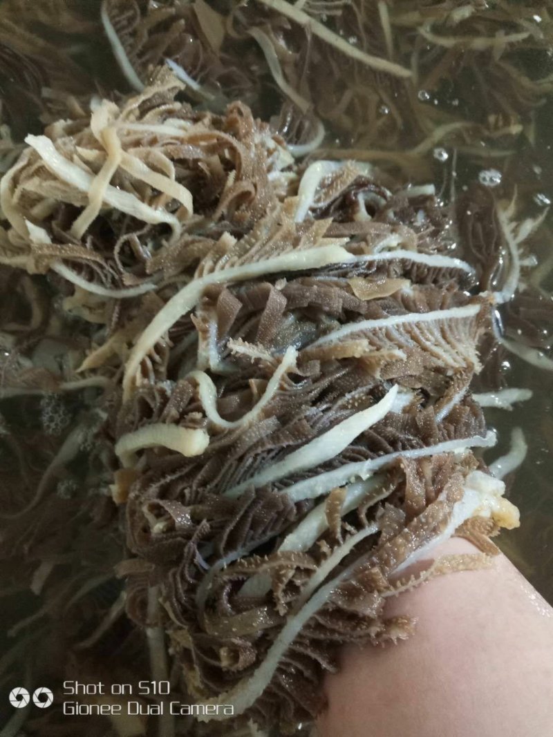 【牛肚】千层肚丝货源充足品质保证欢迎各地老板来电