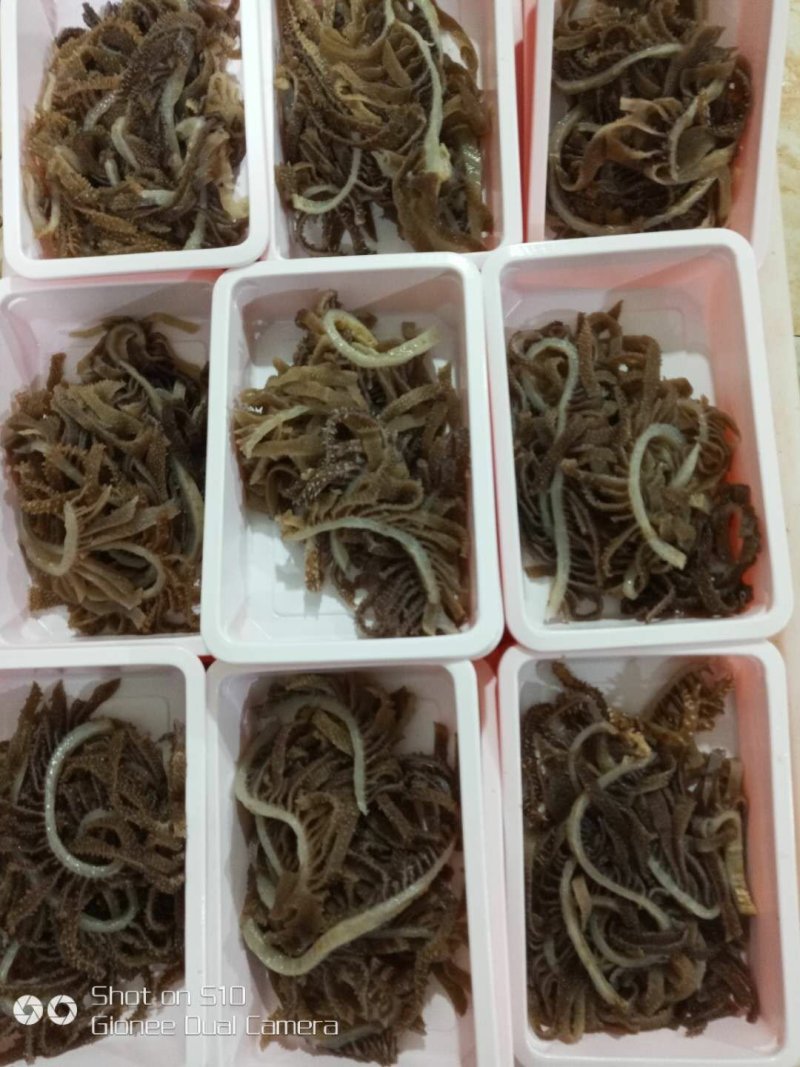 【牛肚】千层肚丝货源充足品质保证欢迎各地老板来电