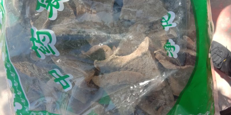 山乌龟白药子白药脂滇白药子中药材