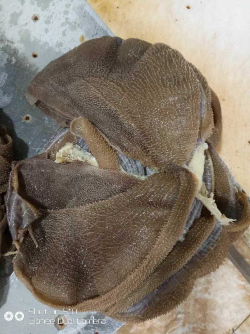 水牛大叶片连张精选（净重50斤每件/五件起批）