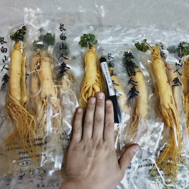 保鲜参促销各种规格，保证质量，2022年新货，可配礼
