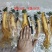 保鲜参促销各种规格，保证质量，2022年新货，可配礼