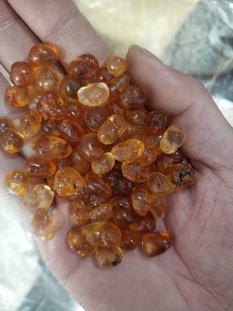 桃胶天然食用桃胶桃花泪各种规格无硫新货批发零售冷背中药材