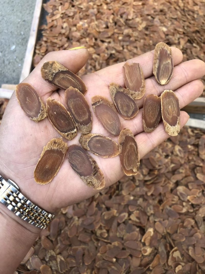 一件代发无糖红参片，包含量，片片带纹，特价二等片
