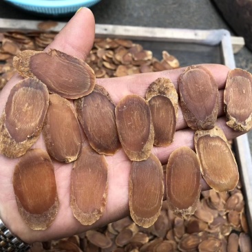 一件代发无糖红参片，包含量，片片带纹，特价二等片