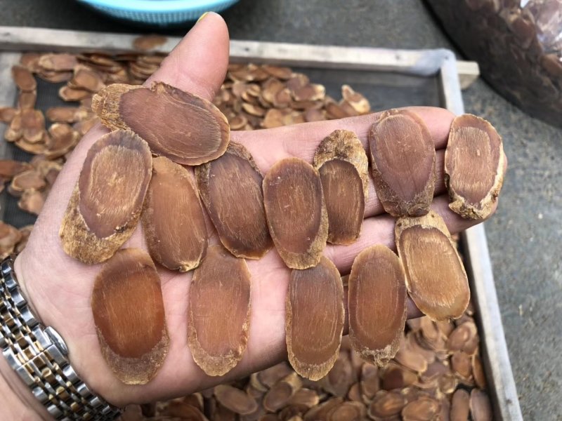 一件代发无糖红参片，包含量，片片带纹，特价二等片
