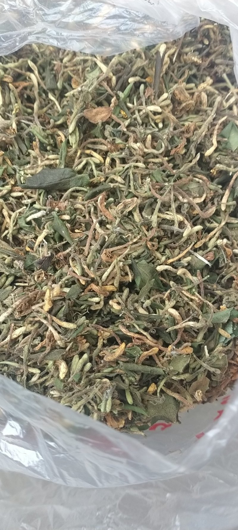金银花，野生金银花！