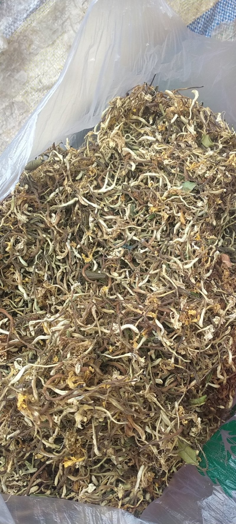 金银花，野生金银花！