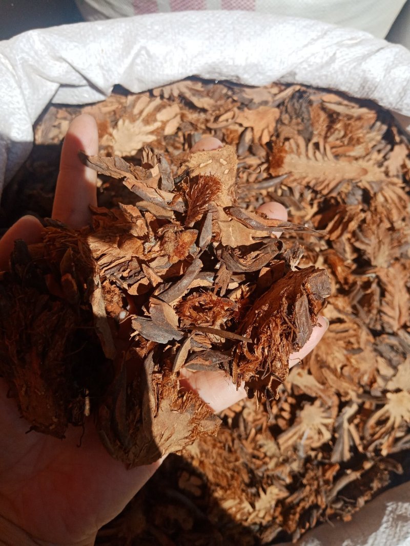 贯众中药材纵马贯众绵马贯众贯仲贯节贯渠贯众粉批发