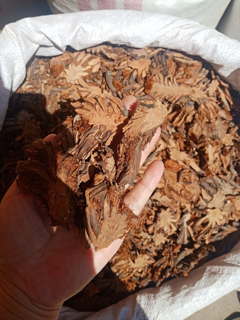 贯众中药材纵马贯众绵马贯众贯仲贯节贯渠贯众粉批发