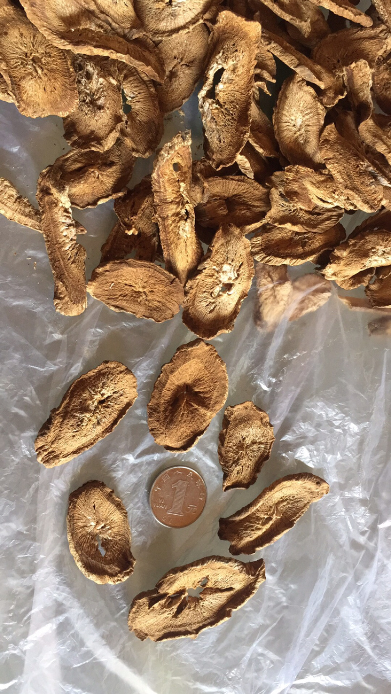 晒干牛蒡颗粒牛蒡根兰陵县苍山牛蒡片自然风干