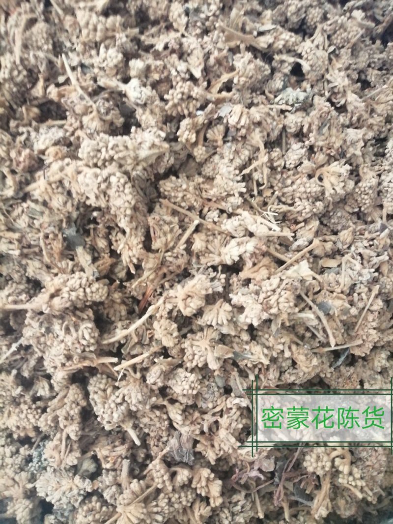 密蒙花，也叫明目花、雪茶、黄饭团，现货供应