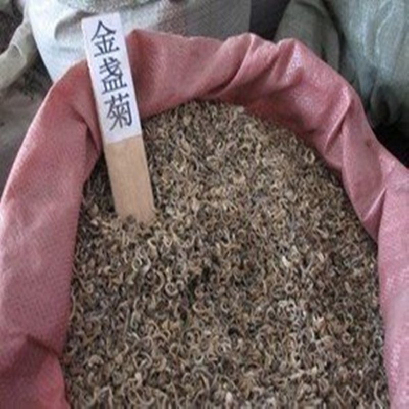 金盏菊种子纯种长期供应各种花卉种子厂家直销