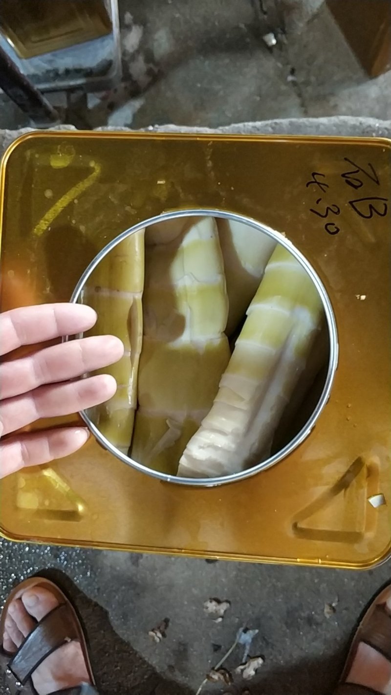 小竹笋清水笋石笋麻竹笋