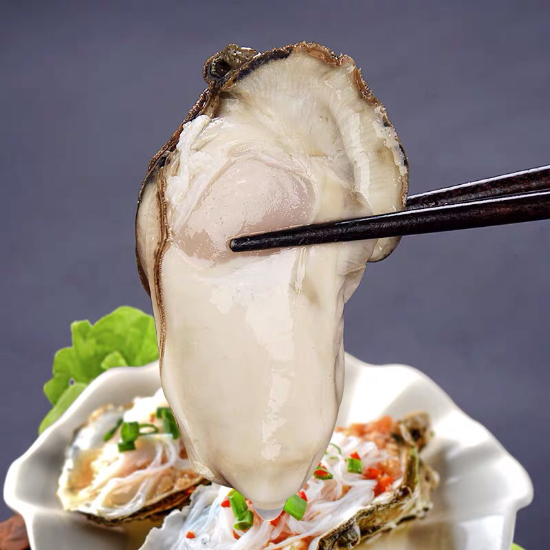 乳山生蚝肥生蚝新鲜美味肥生蚝海蛎子贝类